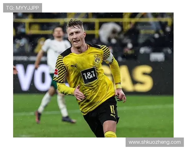 德甲球队迎来阵容重塑新篇章，年轻力量与经验并存的状态分析