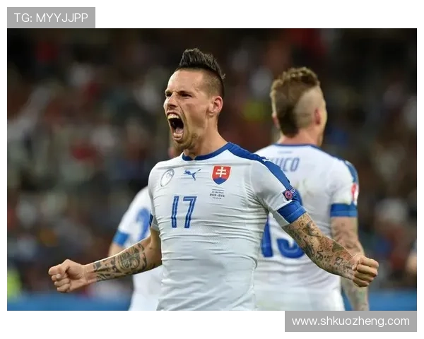 斯洛伐克名将哈姆希克正式退役，结束职业生涯